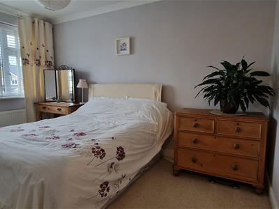 Picture 15